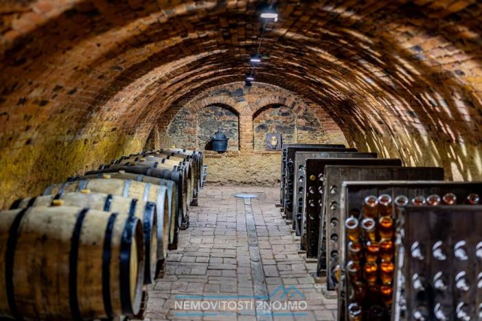 Prodej obchodního prostoru, Znojmo - Popice, 1700 m2