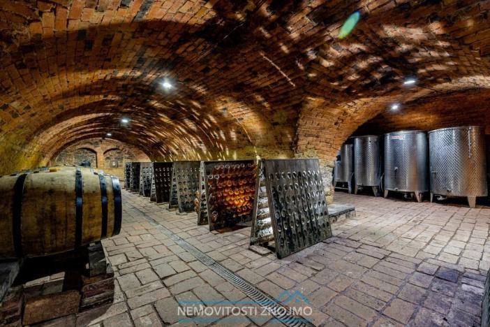 Prodej obchodního prostoru, Znojmo - Popice, 1700 m2