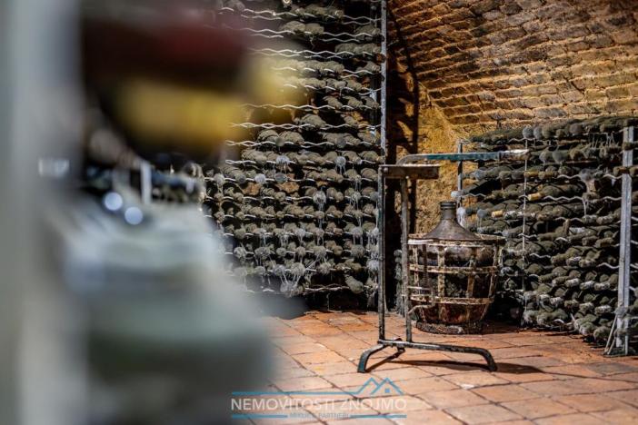 Prodej obchodního prostoru, Znojmo - Popice, 1700 m2