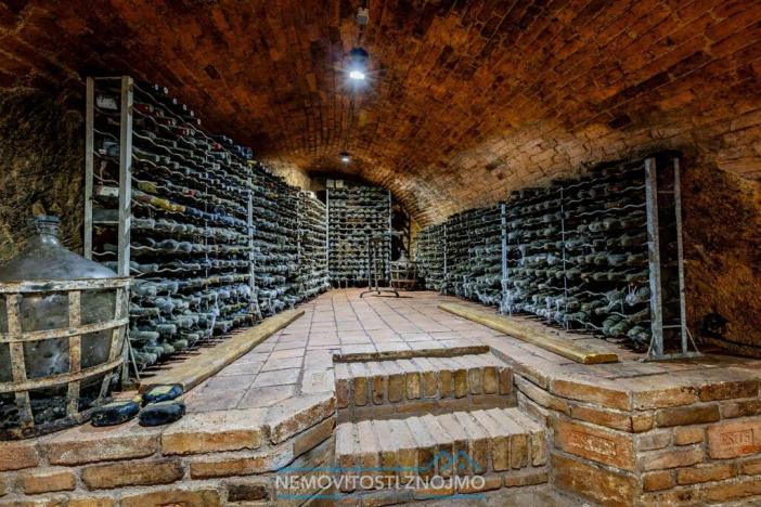 Prodej obchodního prostoru, Znojmo - Popice, 1700 m2