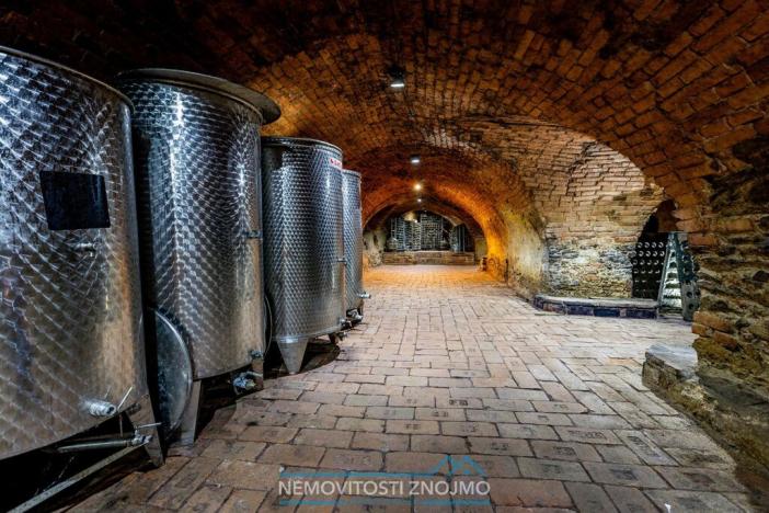 Prodej obchodního prostoru, Znojmo - Popice, 1700 m2