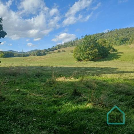 Prodej rodinného domu, Město Albrechtice - Hynčice, 500 m2