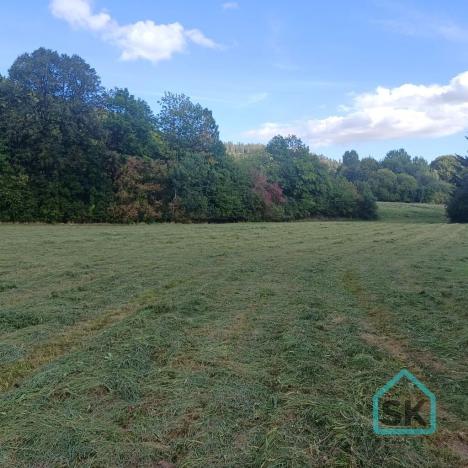 Prodej rodinného domu, Město Albrechtice - Hynčice, 500 m2