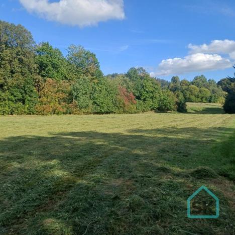 Prodej rodinného domu, Město Albrechtice - Hynčice, 500 m2