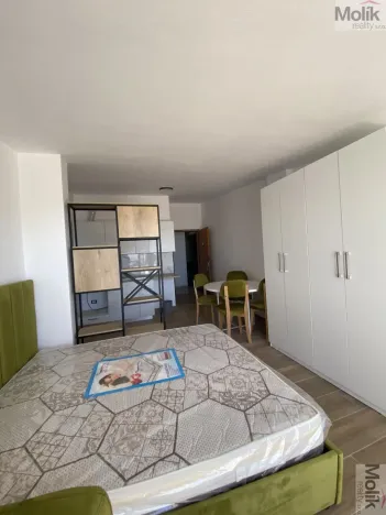 Prodej bytu 1+kk, Golem, 41 m2