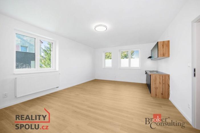 Pronájem bytu 1+kk, Břasy, 44 m2