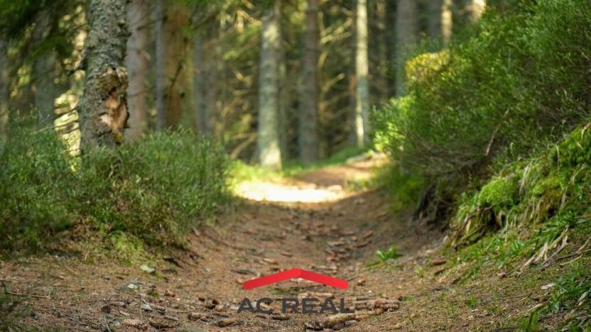 Prodej ubytování, Malá Morávka, 187 m2