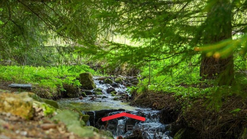 Prodej ubytování, Malá Morávka, 187 m2