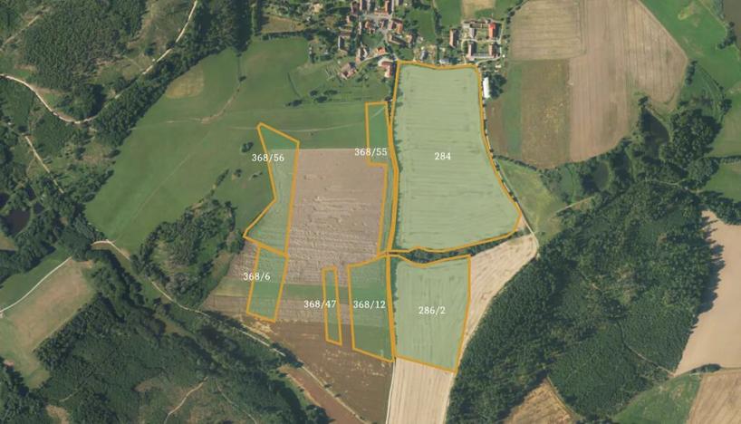 Prodej podílu pole, Borovná, 60983 m2