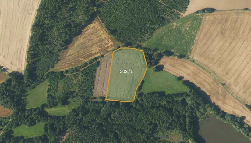 Prodej podílu pole, Borovná, 60983 m2