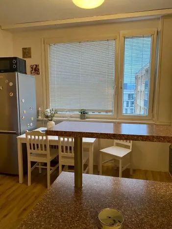 Prodej bytu 1+1, Liberec, Na Perštýně, 36 m2