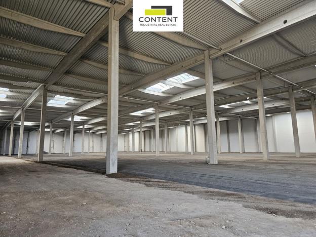 Pronájem výrobních prostor, Kozomín, 3000 m2