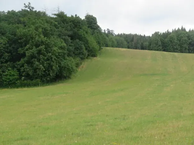 Dražba lesa, Hrabišín, 23811 m2