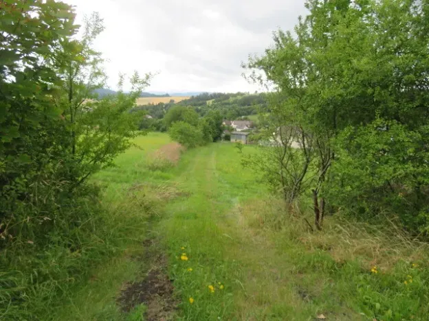 Dražba lesa, Hrabišín, 23811 m2