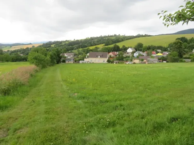 Dražba lesa, Hrabišín, 23811 m2