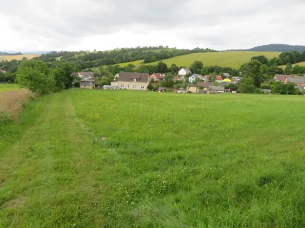 Dražba lesa, Hrabišín, 23811 m2