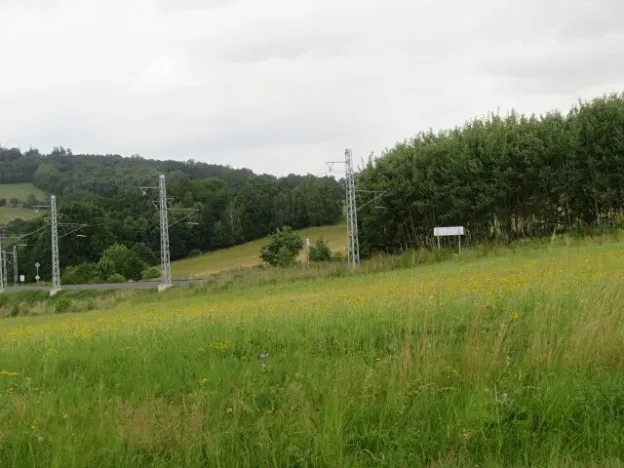 Dražba lesa, Hrabišín, 23811 m2