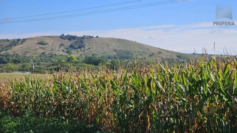 Prodej pozemku pro bydlení, Pouzdřany, Sklepní, 521 m2
