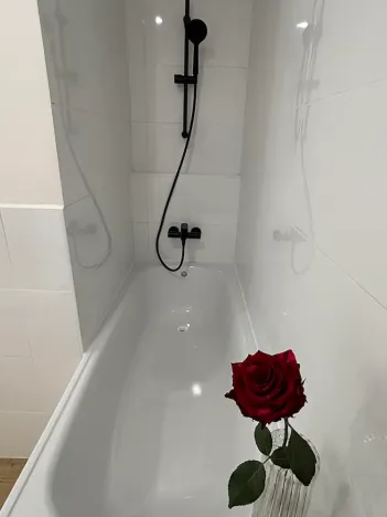 Prodej bytu 1+kk, Frýdek-Místek, Dr. M. Tyrše, 33 m2