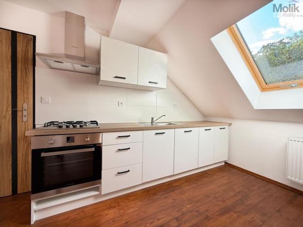 Pronájem bytu 1+1, Osek, Tovární, 42 m2