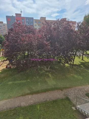 Prodej bytu 3+1, Česká Lípa, Šluknovská, 66 m2