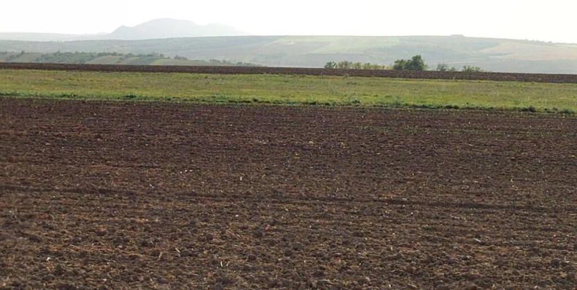 Prodej pole, Velké Němčice, 3000 m2