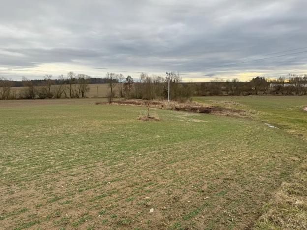 Prodej sadu/vinice, Malotice, 12163 m2