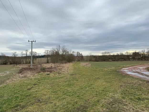 Prodej sadu/vinice, Malotice, 12163 m2