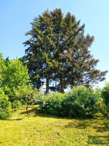 Prodej rodinného domu, Vyškov - Opatovice, 135 m2