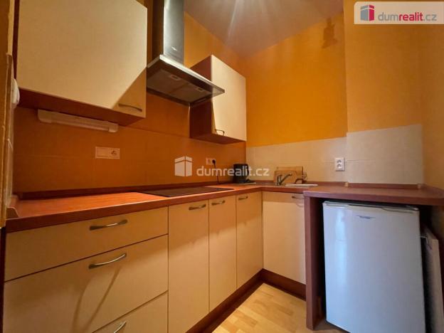 Pronájem bytu 1+kk, Opava - Předměstí, Hauerova, 27 m2