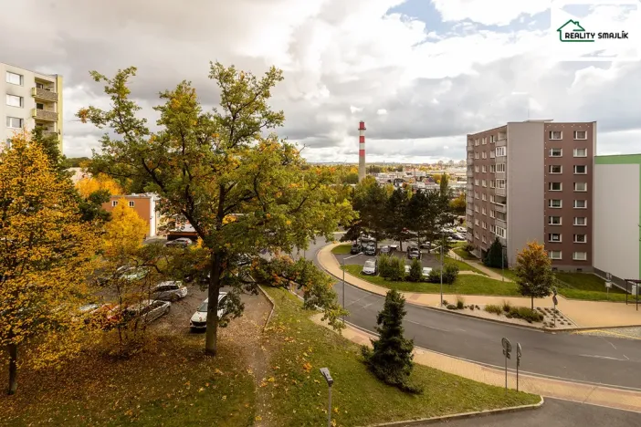 Prodej bytu 3+1, Cheb, Dvořákova, 74 m2