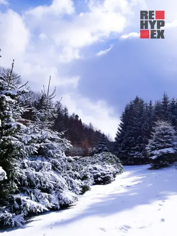 Prodej chalupy, Jiřetín pod Jedlovou - Lesné, 170 m2