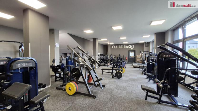 Prodej obchodního prostoru, Plzeň - Bolevec, Plaská, 245 m2