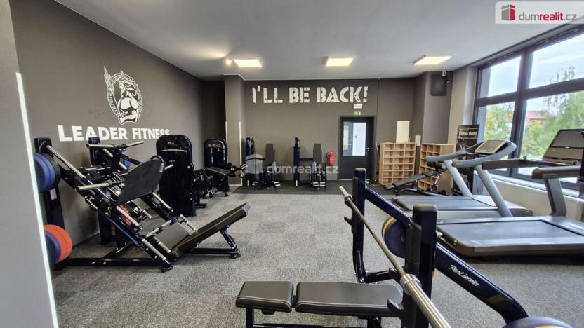 Prodej obchodního prostoru, Plzeň - Bolevec, Plaská, 245 m2