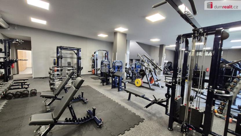 Prodej obchodního prostoru, Plzeň - Bolevec, Plaská, 245 m2