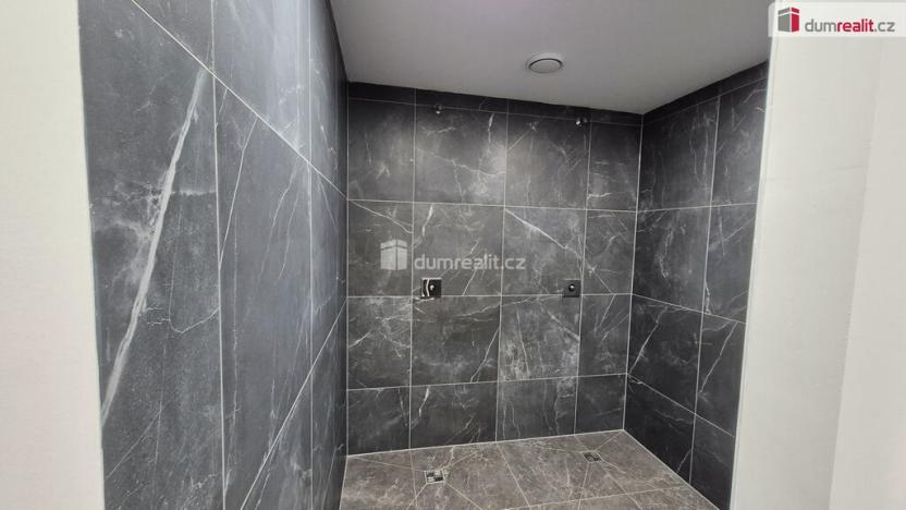 Prodej obchodního prostoru, Plzeň - Bolevec, Plaská, 245 m2