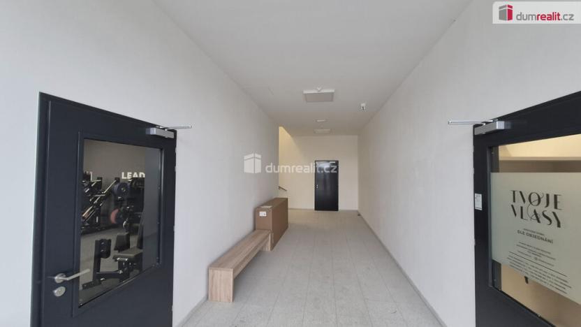 Prodej obchodního prostoru, Plzeň - Bolevec, Plaská, 245 m2