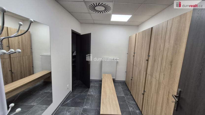 Prodej obchodního prostoru, Plzeň - Bolevec, Plaská, 245 m2