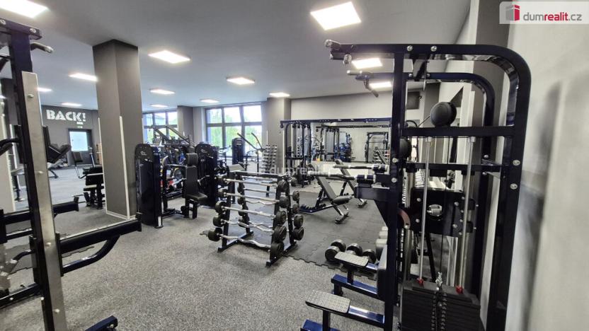 Prodej obchodního prostoru, Plzeň - Bolevec, Plaská, 245 m2