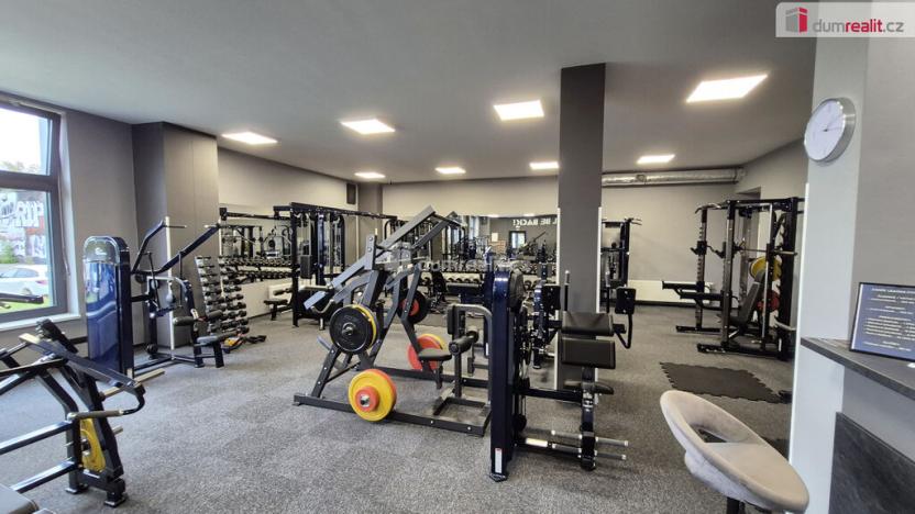 Prodej obchodního prostoru, Plzeň - Bolevec, Plaská, 245 m2