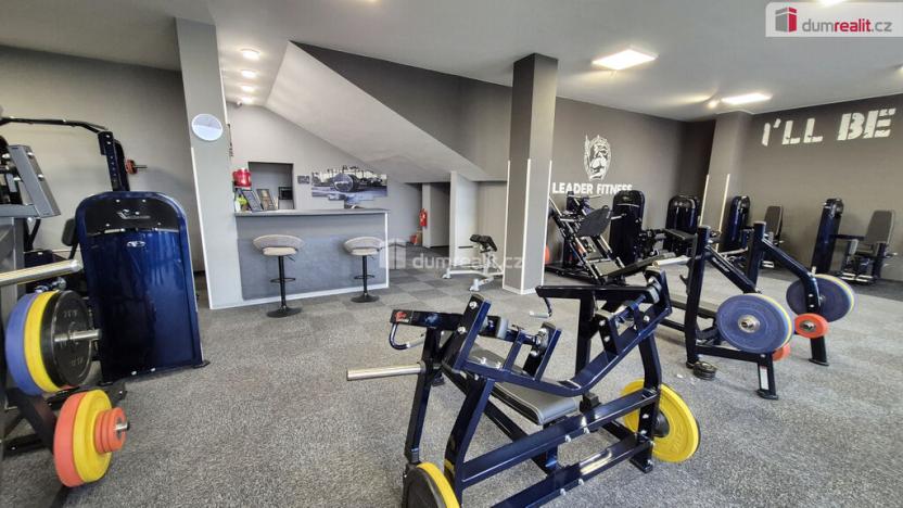 Prodej obchodního prostoru, Plzeň - Bolevec, Plaská, 245 m2