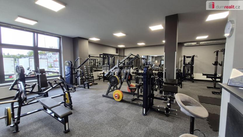 Prodej obchodního prostoru, Plzeň - Bolevec, Plaská, 245 m2