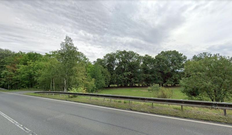 Prodej louky, Přimda - Velké Dvorce, 1824 m2