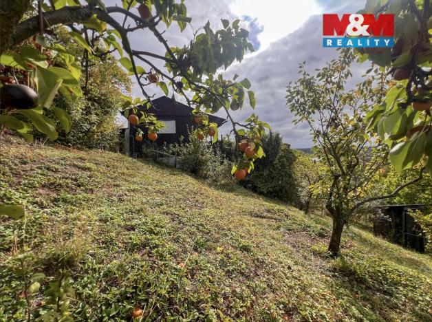 Prodej chaty, Litoměřice, 33 m2