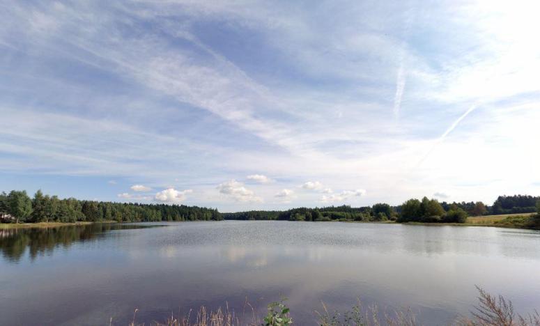 Prodej louky, Nová Bystřice - Blato, 9920 m2