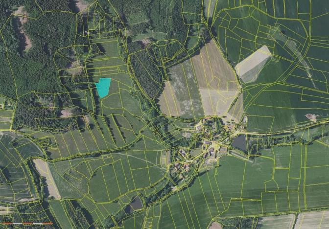 Prodej louky, Neustupov - Královna, 4873 m2