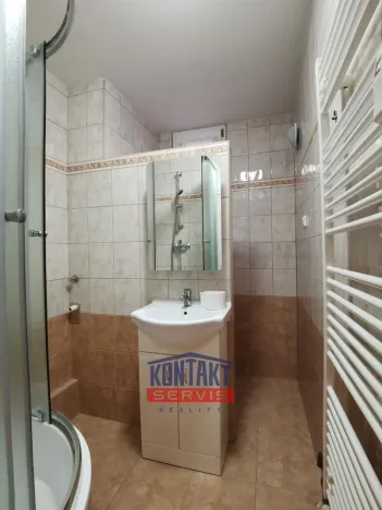 Pronájem bytu 2+kk, České Budějovice - České Budějovice 3, 48 m2