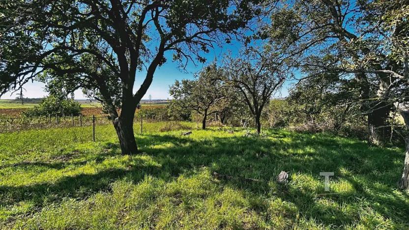 Prodej zahrady, Kyjov, 1046 m2