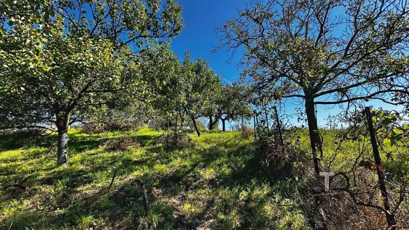 Prodej zahrady, Kyjov, 1046 m2