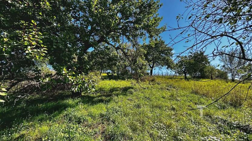 Prodej zahrady, Kyjov, 1046 m2